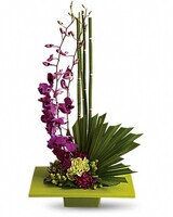 Absolutely Beautiful Flowers, St. Petersburg