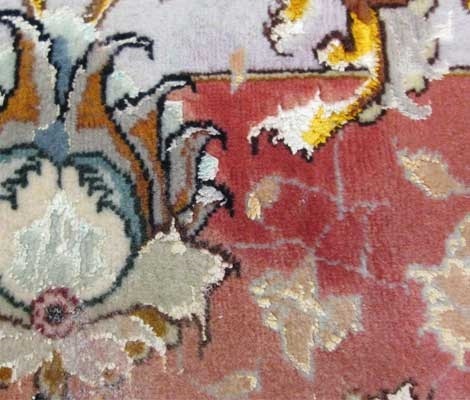  New Album of Job Youshaei Rug Company 2540 Skokie Valley Rd. - Photo 2 of 3
