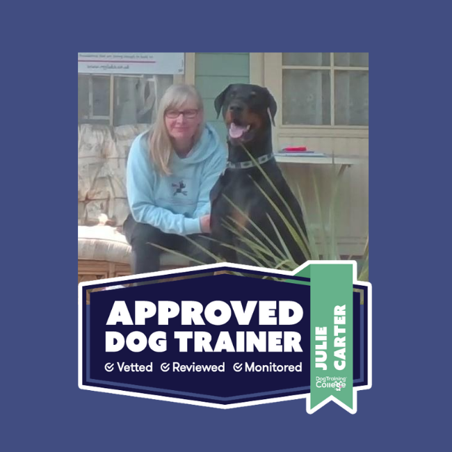  Profile Photos of MyLuka Dog Training Solutions 21 Burnham Avenue - Photo 1 of 1
