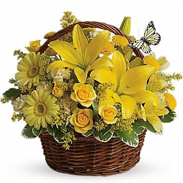  Profile Photos of Avio Flowers 3885 Chesswood Dr - Photo 1 of 5