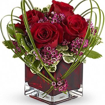  Profile Photos of Avio Flowers 3885 Chesswood Dr - Photo 3 of 5