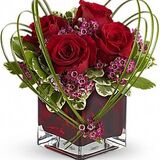 Avio Flowers, North York