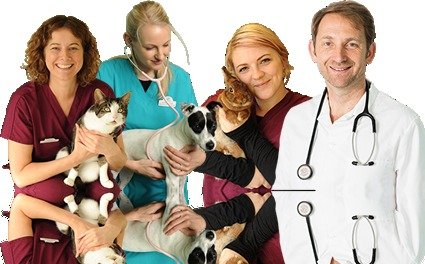  Profile Photos of Talk To The Vet 6a The Broadway - Photo 1 of 1