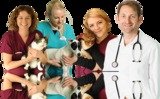 Talk To The Vet, Minster