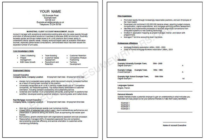 Account Executive Resume Sample Profile Photos of Executive Resume Writers San Fernando - Photo 3 of 10