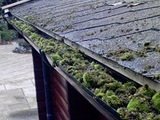 Tonbridge Gutter Cleaning Kent, Tonbridge Gutter Cleaners Kent, Tonbridge