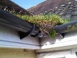 Tonbridge Gutter Cleaning Kent, Tonbridge Gutter Cleaners Kent, Tonbridge