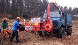 Chipping and clearance work in Wareham Forest, Darwin Tree Services, Keston