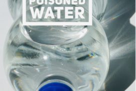  Profile Photos of water testing miami 704 Kingshill Place, - Photo 1 of 1