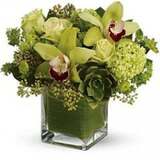  Flower Delivery Gramercy Park 106 E 13th St 