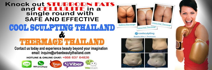  Cosmetic Surgery Thailand Services of Urban Beauty Thailand - Cosmetic Surgery Thailand Fat Removal Bangkok ambassador hotel bangkok sukhumvit soi11 - Photo 5 of 11