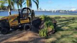 Robert's Stump Grinding, Jacksonville FL