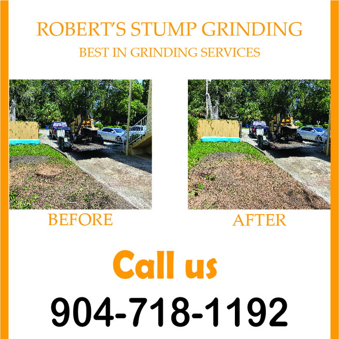Stump Grinding Jacksonville Beach, Fl Stump Grinding Jacksonville, FL of Robert's Stump Grinding Robert's Stump Grinding - Photo 2 of 4