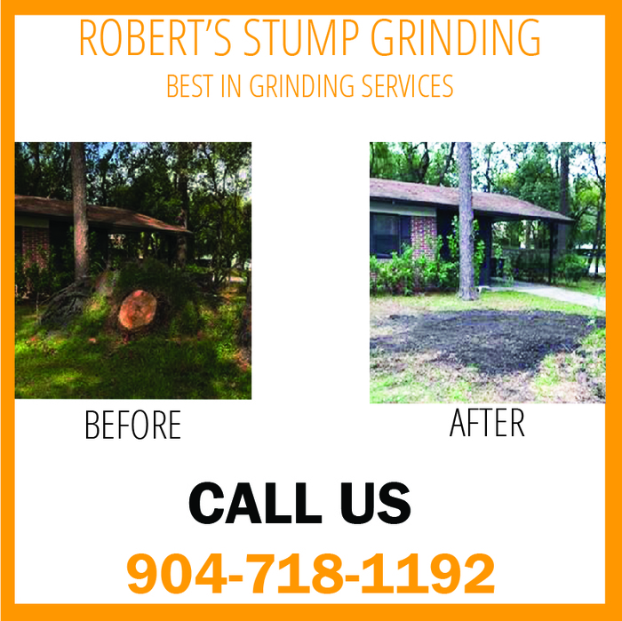 Stump Grinding Orange Park, Fl Stump Grinding Jacksonville, FL of Robert's Stump Grinding Robert's Stump Grinding - Photo 3 of 4