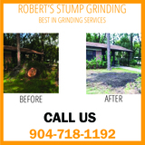 Stump Grinding Orange Park, Fl, Robert's Stump Grinding, Jacksonville FL