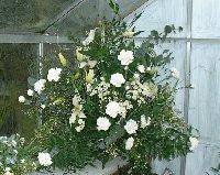  Profile Photos of Food For Thought Catering Services Friday Lodge  Wellington Avenue - Photo 2 of 10