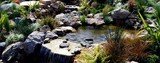Natural Landscapes, Lewes