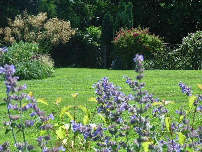  Profile Photos of Anna McArthur Garden Design Landbeach, Cambridge - Photo 2 of 11