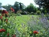                                                                , Anna McArthur Garden Design, Cambridge