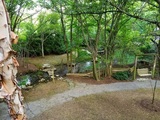 Pleasant outdoor view at Dental Bliss Franklin office Dental Bliss Franklin 151 Rosa Helm Way 