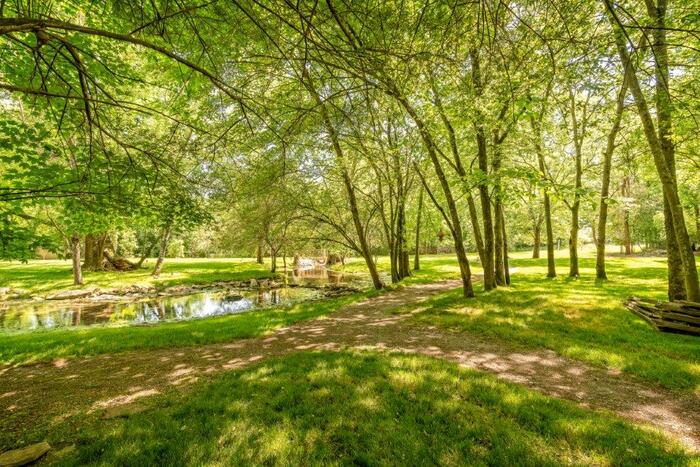 Path into the woods near Dental Bliss Franklin Places near Dental Bliss Franklin of Dental Bliss Franklin 151 Rosa Helm Way - Photo 6 of 13