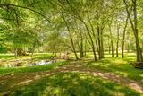 Path into the woods near Dental Bliss Franklin Dental Bliss Franklin 151 Rosa Helm Way 