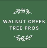 Walnut Creek Tree Pros, Walnut Creek
