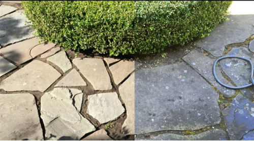 Pressure Washing <br />
 Profile Photos of Shine City Pressure Washing 6949 196 st - Photo 3 of 6
