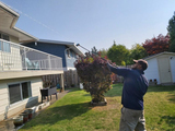 Window Washing<br />
 Shine City Pressure Washing 6949 196 st 
