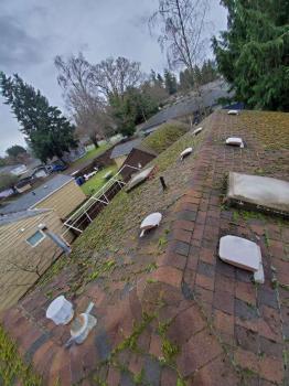  Profile Photos of Legacy Gutter Cleaning 319 10th Ave SE, #A - Photo 2 of 4