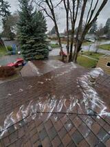  Legacy Gutter Cleaning 319 10th Ave SE, #A 