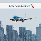  American Airlines 319 La Salle Dr 