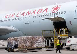  New Album of Air Canada 1205 Woodlawn Dr Pflugerville - Photo 4 of 4