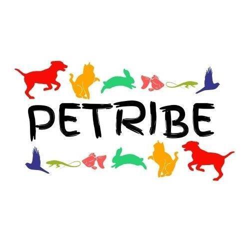  Profile Photos of Petribe 17 Doncaster Street Ascot Vale - Photo 1 of 1