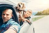  Southern States Insurance 3130 Golf Ridge Boulevard Suite 200 