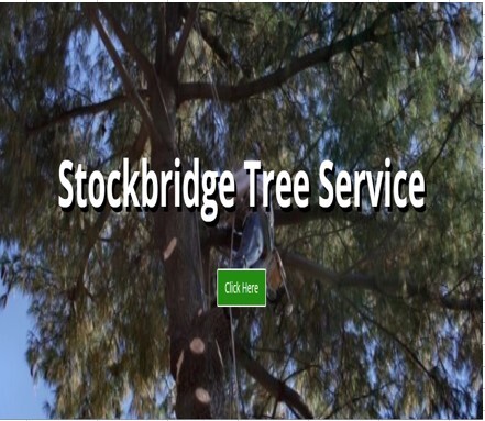  New Album of Stockbridge Tree Service 100 Andrew Drive Suite 201 - Photo 1 of 5