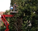 Stockbridge Tree Service, Stockbridge