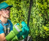 Stockbridge Tree Service, Stockbridge
