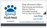  Four Paws Dog Adventures 1023 Lazo Road 