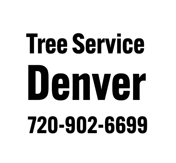  Profile Photos of Tree Service Denver 56 Hazel ct. - Photo 1 of 2