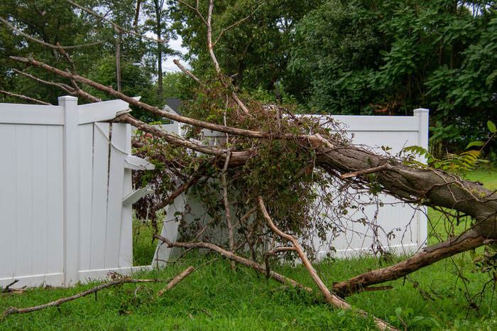  New Album of Tree Service Denver 56 Hazel ct. - Photo 3 of 7