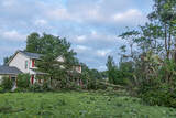  Tree Service Denver 56 Hazel ct. 