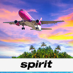  New Album of Spirit Airlines 321 W Lafayette Blvd - Photo 1 of 3