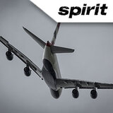 Spirit Airlines, Detroit