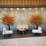  Lights by Sparky, LLC 1001 Oxford Ave 
