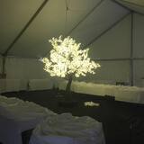  Lights by Sparky, LLC 1001 Oxford Ave 