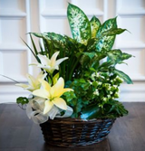  Just Because Flowers & Gifts 645 East State Street 