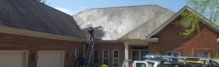 Roof Cleaning Soft Wash Profile Photos of ProClean Power & Soft Wash, LLC. 106 Park Dr - Photo 5 of 6