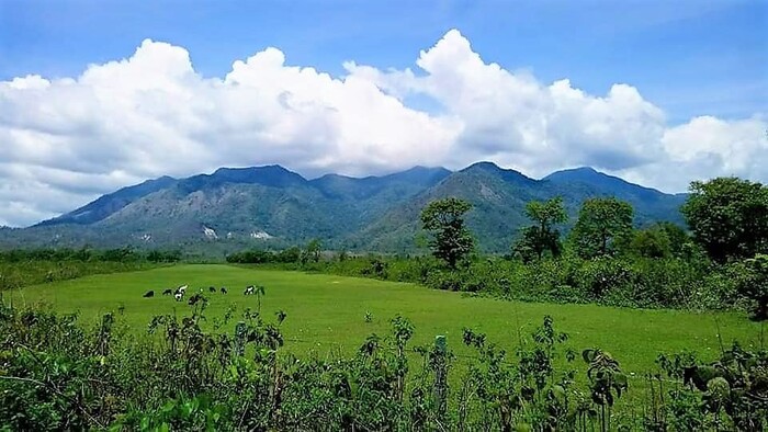  New Album of Darjeeling Tour Package 54 Ho Chi Minh Sarani - Photo 2 of 4