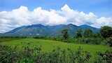 Darjeeling Tour Package, Kolkata